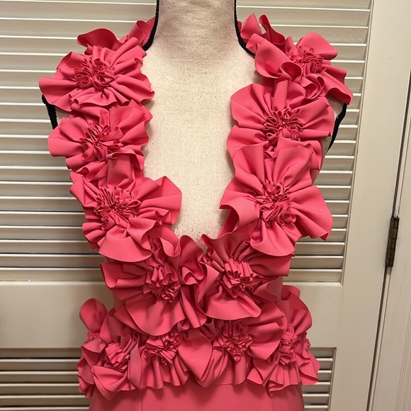 Antonio Melani Breast Cancer Awareness Capsule Mary-Cathryn Crepe Dress, Size 2 - Picture 17 of 17